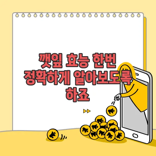 깻잎 효능 한번 정확하게 알아보도록 하죠