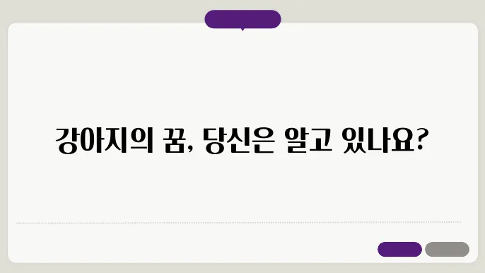 강아지들질 꿈을 꾸는가? : 개들의 상상력 풀기