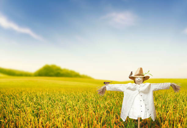 추석 숙박 할인쿠폰 받는 방법(숙박 세일 페스타)