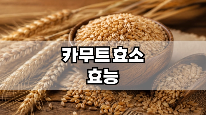 카무트 효소 효능