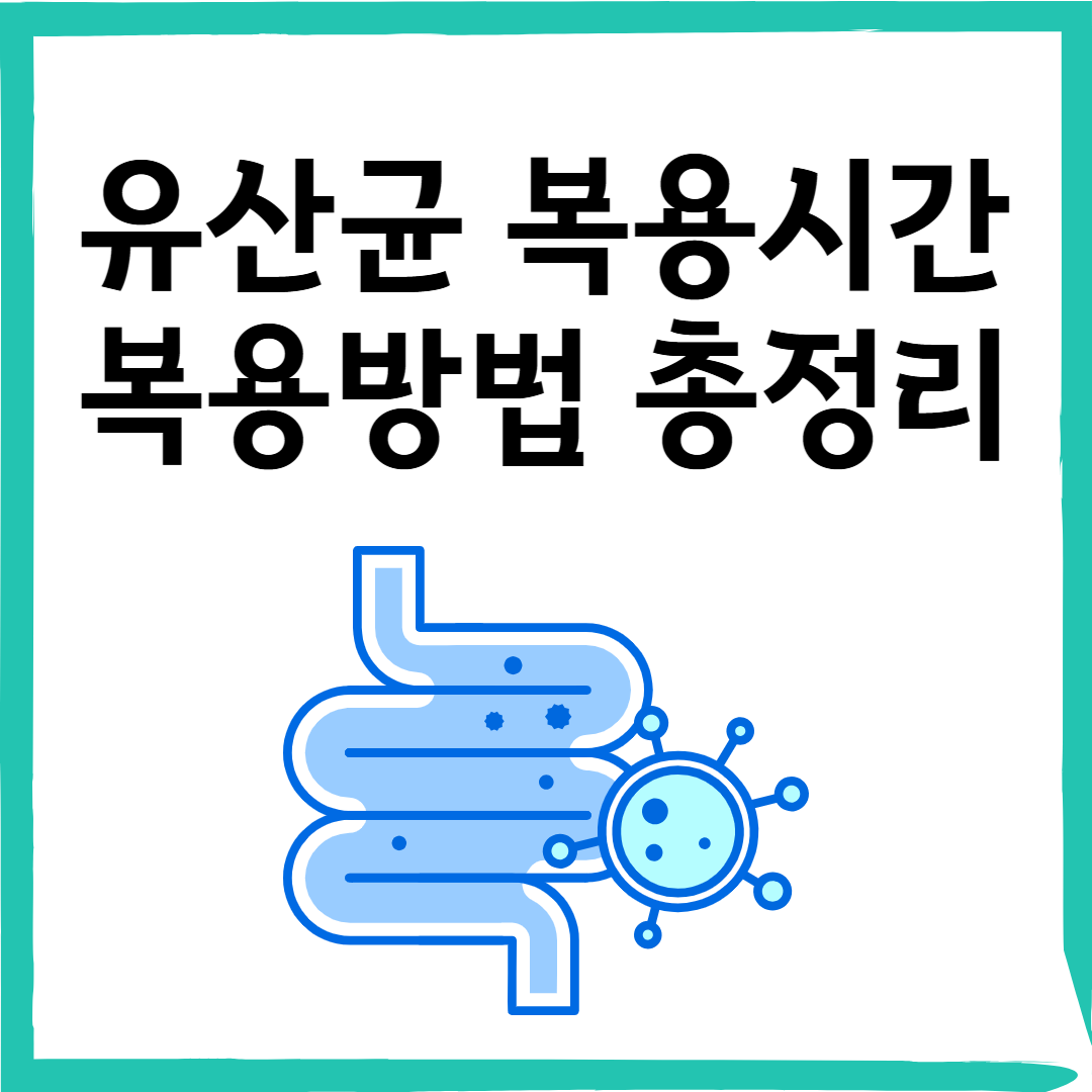 유산균 언제 먹어야 효과적일까? 아침 vs 저녁, 올바른 복용법 총정리!