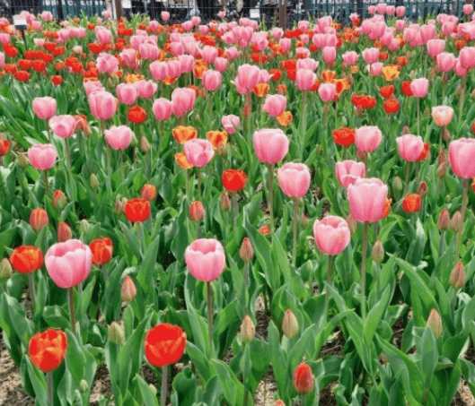 경기도 축제
