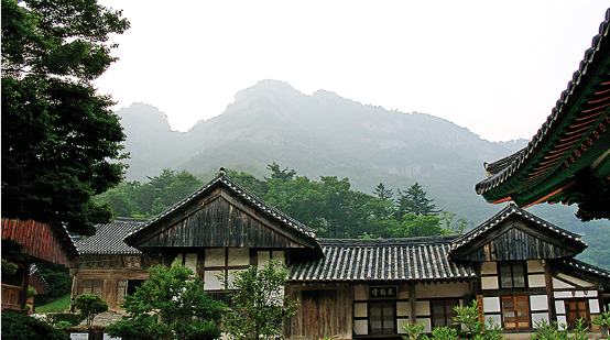 절, 기와, 내소사,나무,풍경