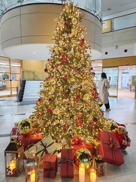 대형 크리스마스 트리