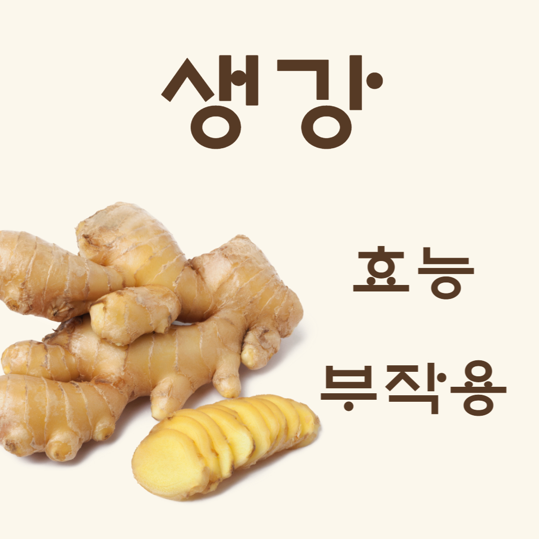 생강 효능 부작용 진저