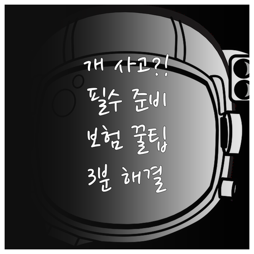 반려견 사고 예방과 배상책임 보험 준..
