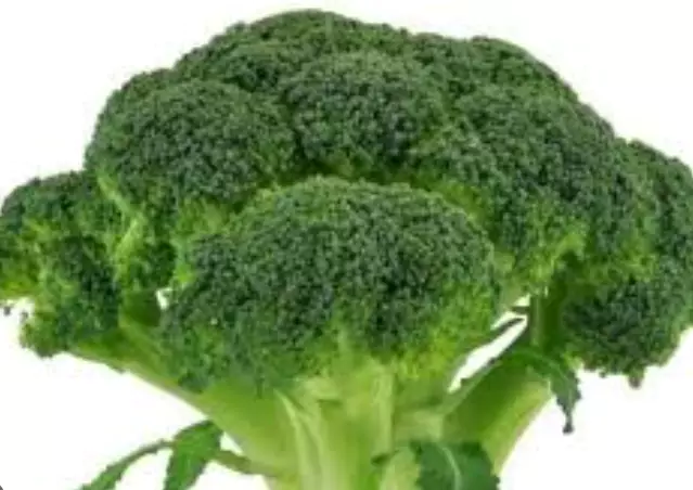 당뇨에-좋은-음식-건강