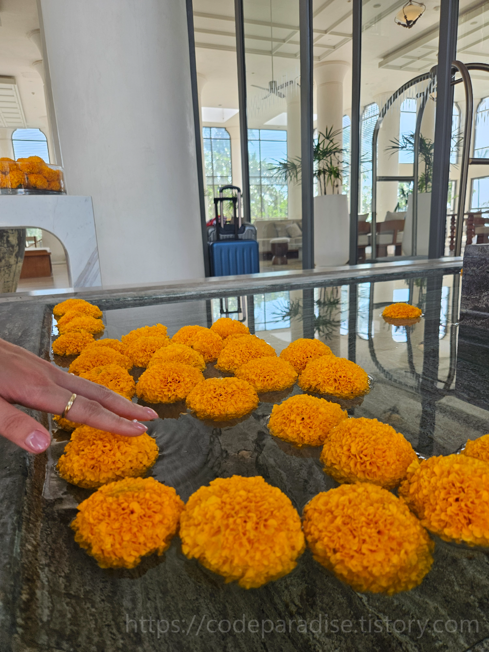 소원을 비는 사진