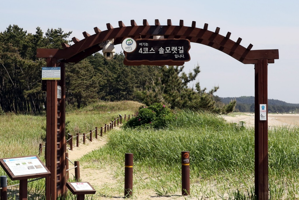 태안 솔모랫길