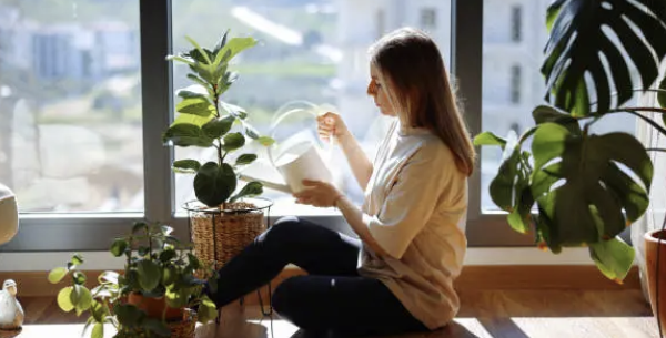 반려식물키우기