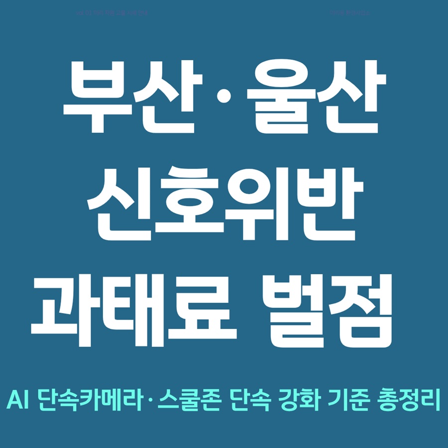 부산·울산 신호위반 과태료 벌점 총정리
