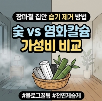 천연 참숯과 염화칼슘 제습제의 단가 대비 제습량 비교 그래프
