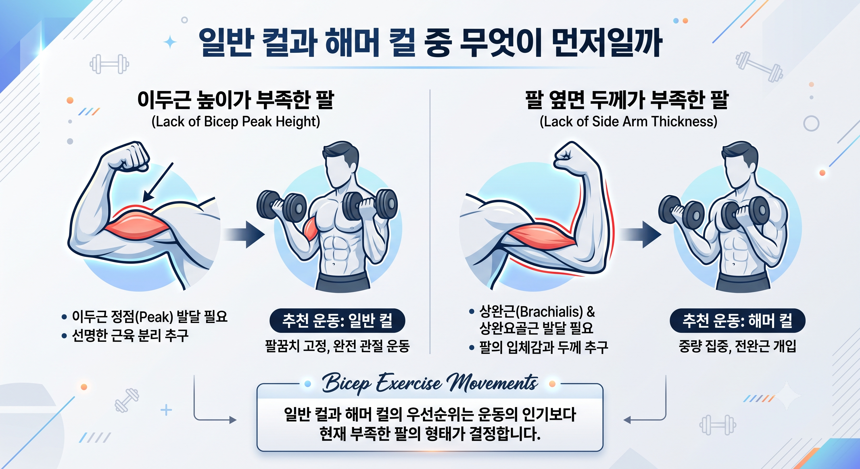 일반 컬과 해머 컬 중 무엇이 먼저일까