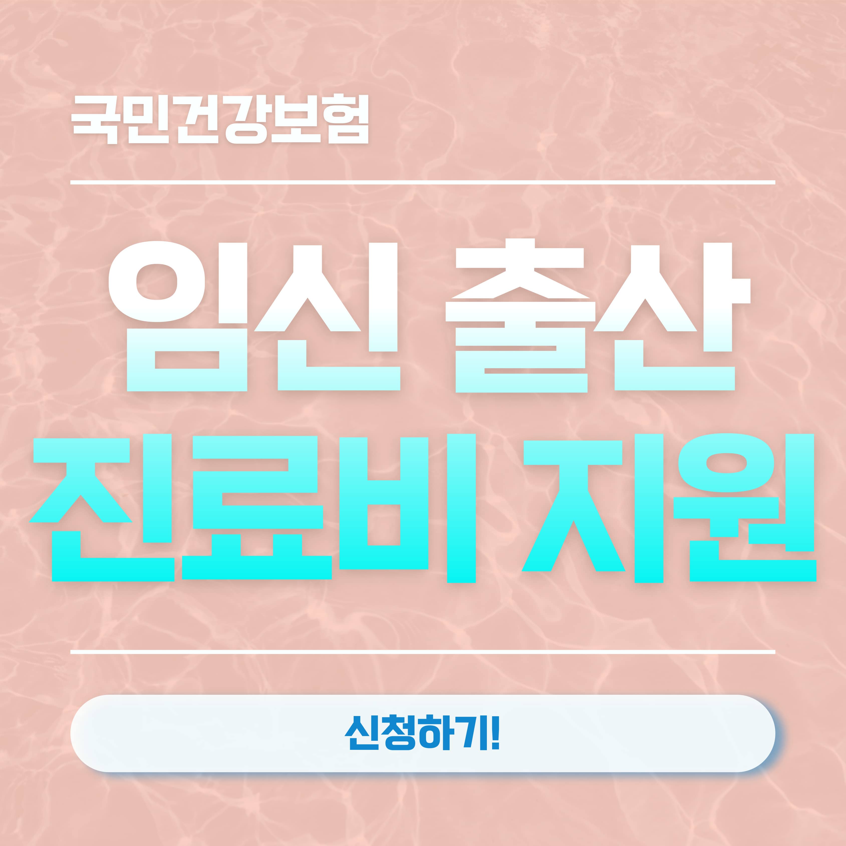 임신 출산 진료비