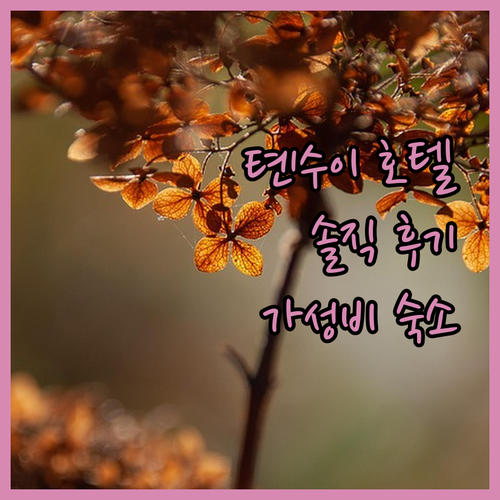 톈수이 호텔 완전 솔직 후기! 가격 