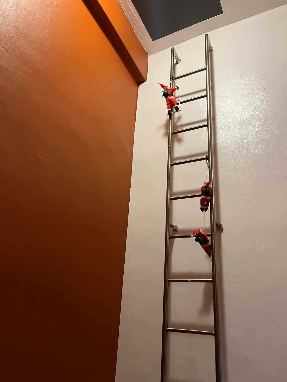 콘피 입구 장식