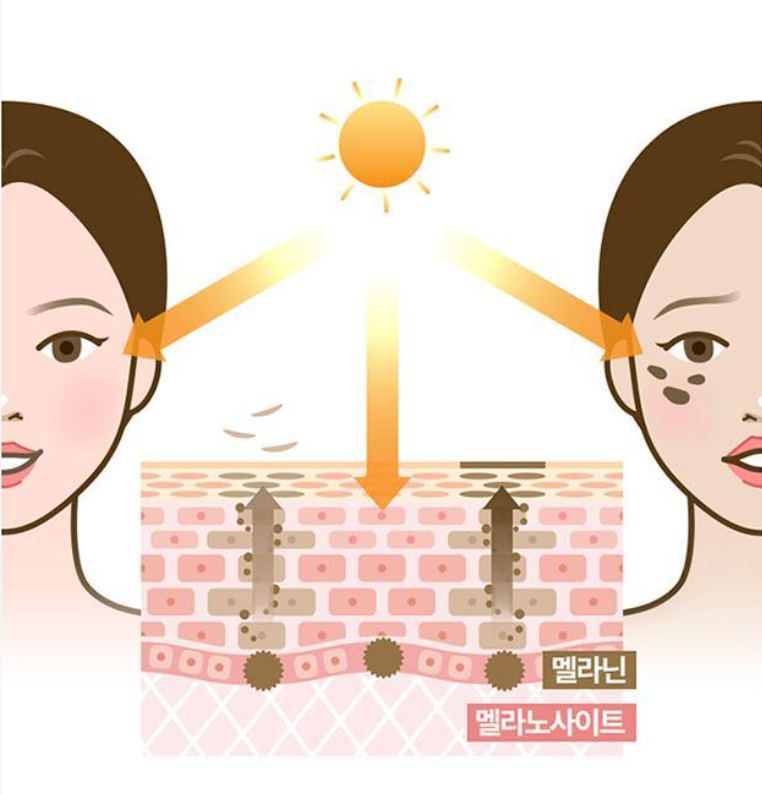 올리브영 스킨케어 TOP5