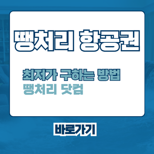 땡처리-항공권-예약