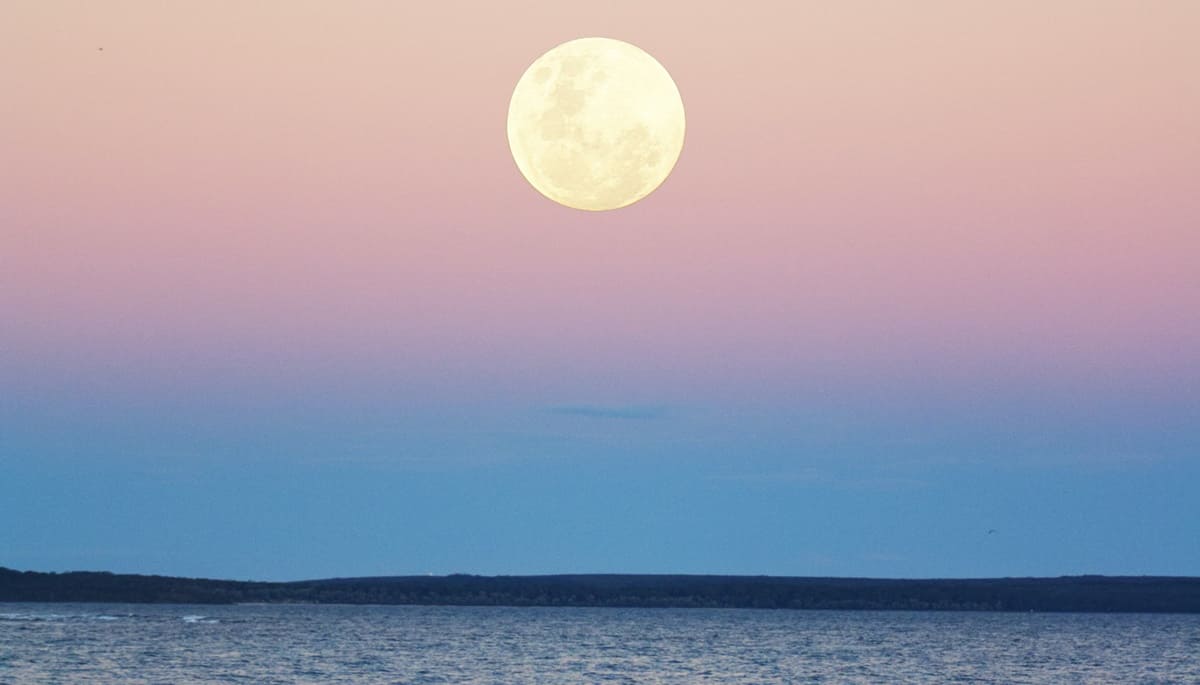 신한생명무료운세