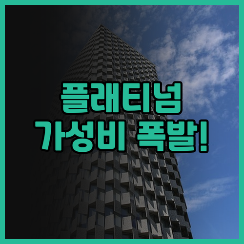 플래티넘 호텔 툰중간 수라바야 추천 ..