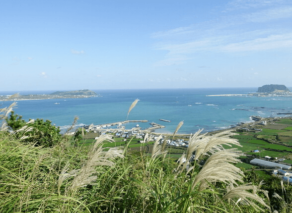 제주도 렌트카 추천