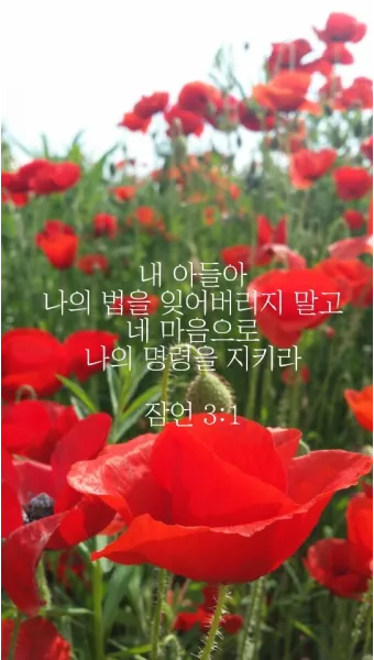 잠언 3장 젊은이 교훈 성경 해석_21