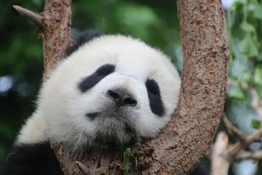 열대야에 숙면하는 방법