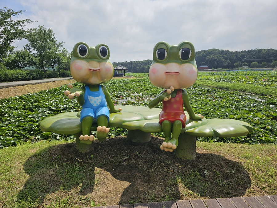 내동마을 연꽃단지