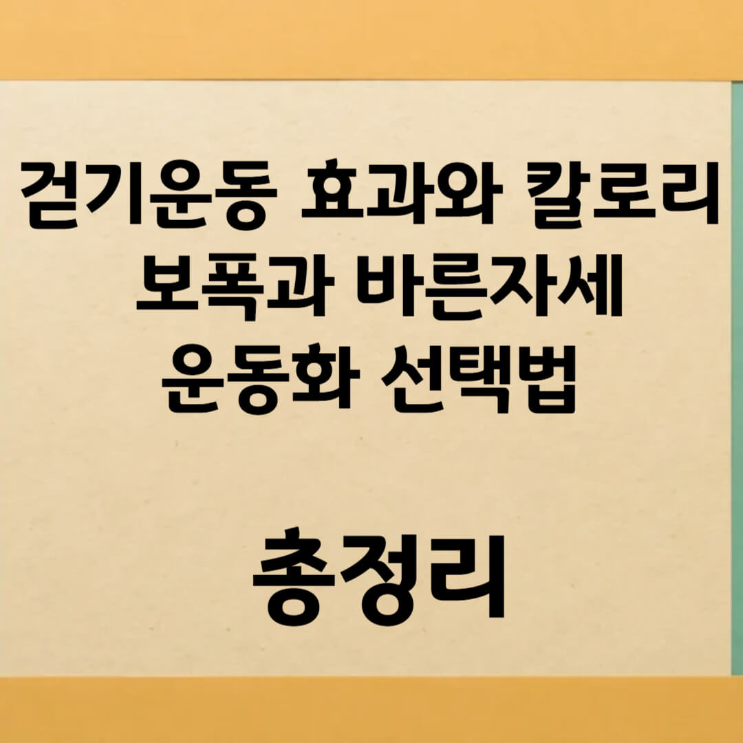 걷기운동 효과와 칼로리, 보폭과 바른자세, 운동화 선택법 총정리