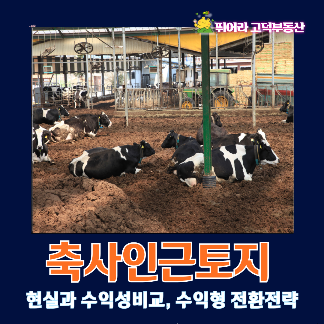 축사 인근 토지의 현실과 수익성비교, 수익형 전환 전략