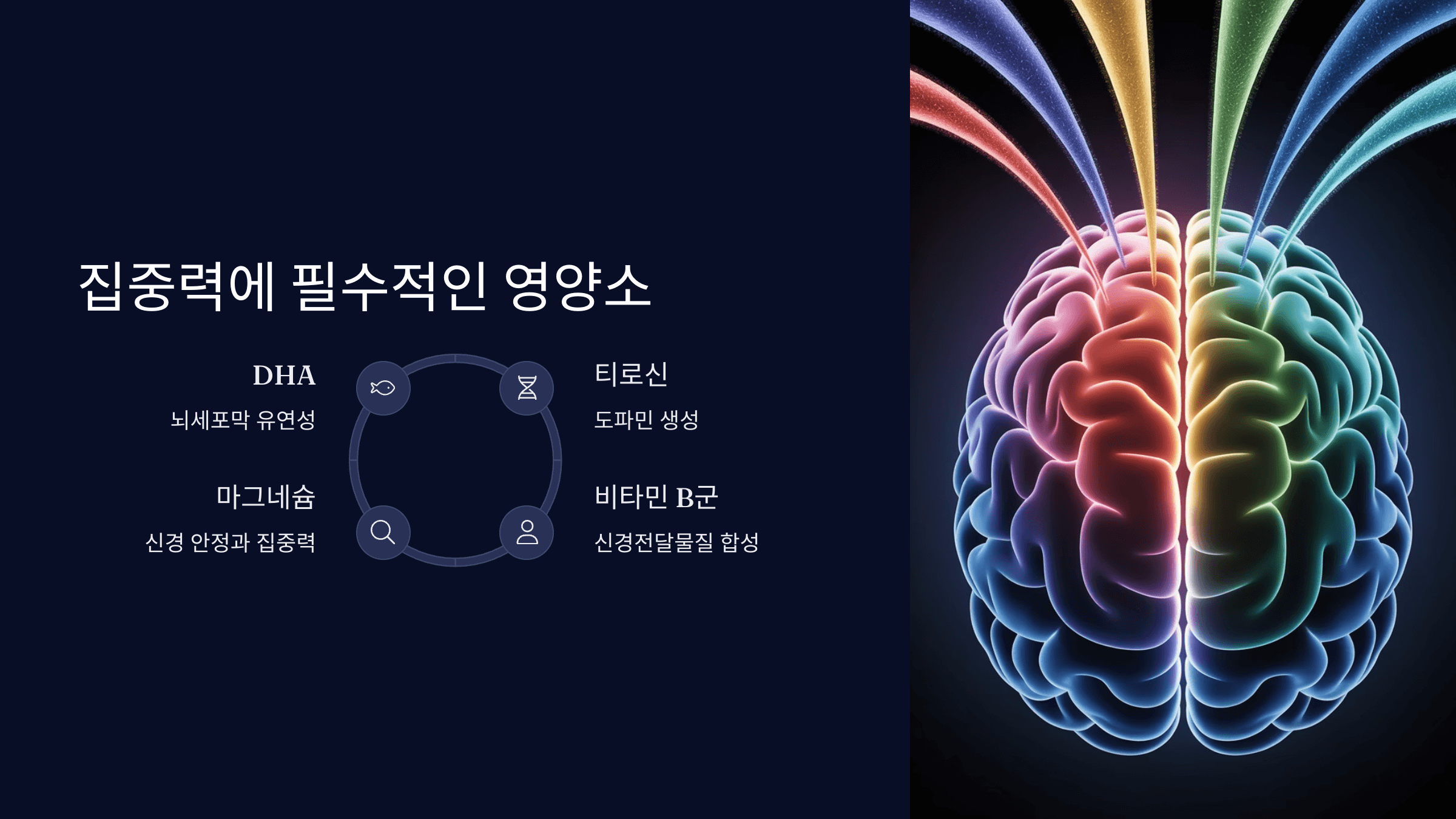 집중력에 필수적인 영양소