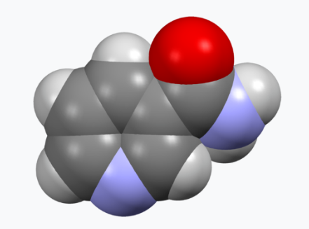 나이아신 아마이드 분자모형