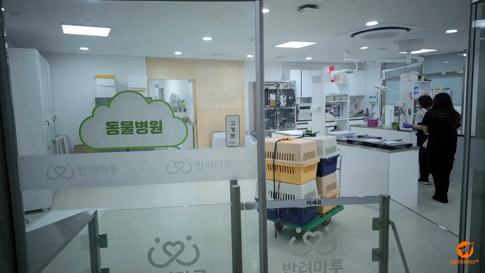 160여 마리가 보호받고 있는 만큼 반려마루 여주에는 동물병원도 있습니다.