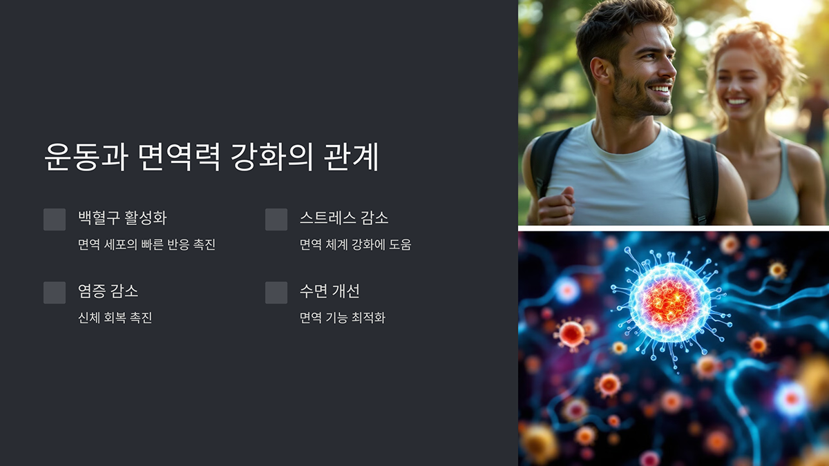 운동과 면역력 강화의 관계