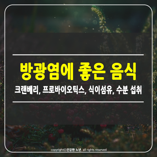 방광염에 좋은 음식 썸네일