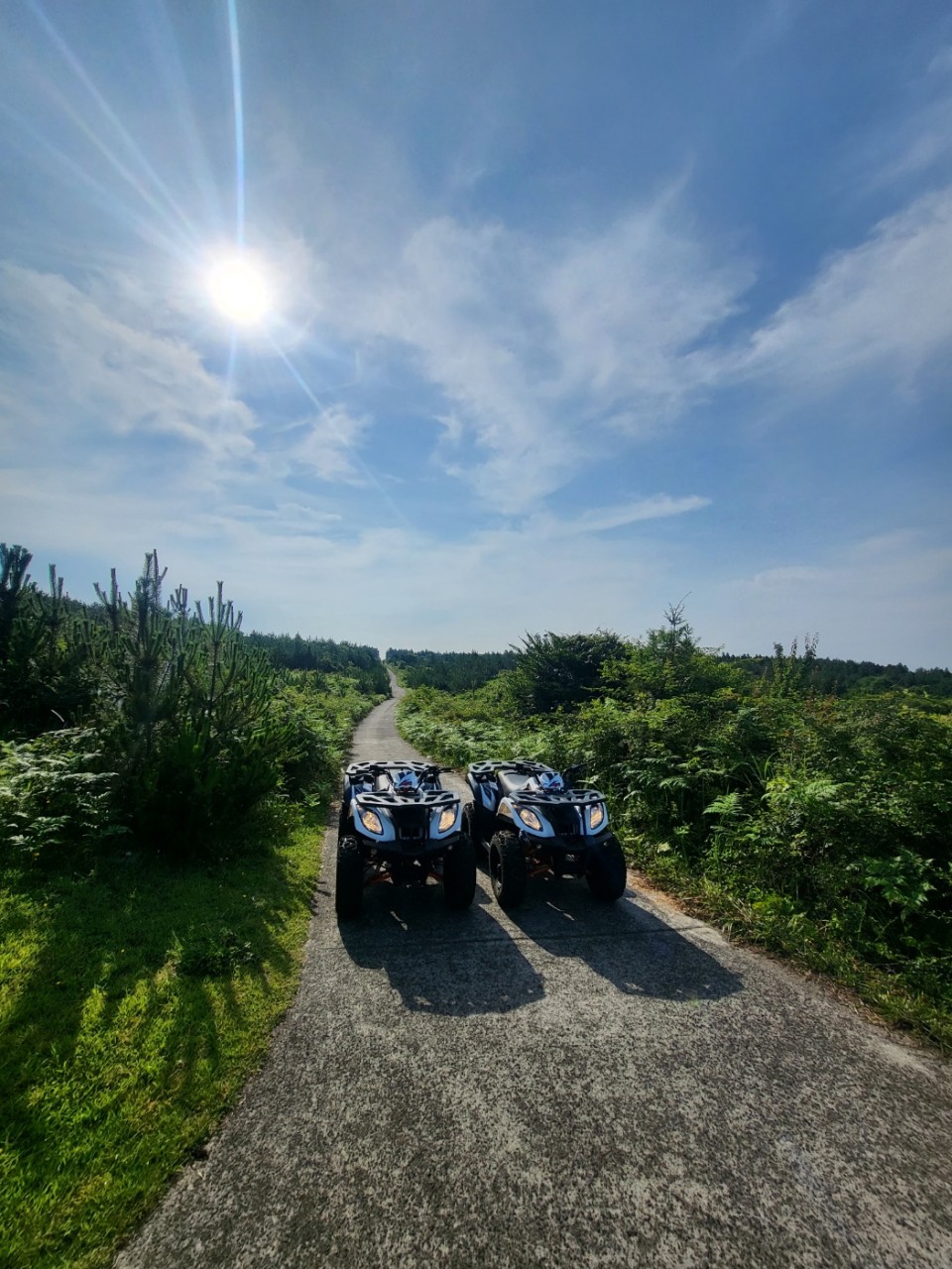 편백포레스트 내부