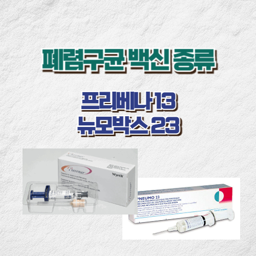 폐렴구균 백신 종류