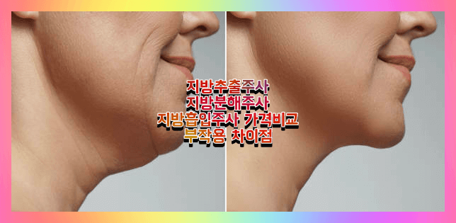 지방추출조사 분해주사