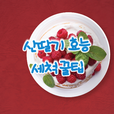 산딸기 효능 세척 꿀팁