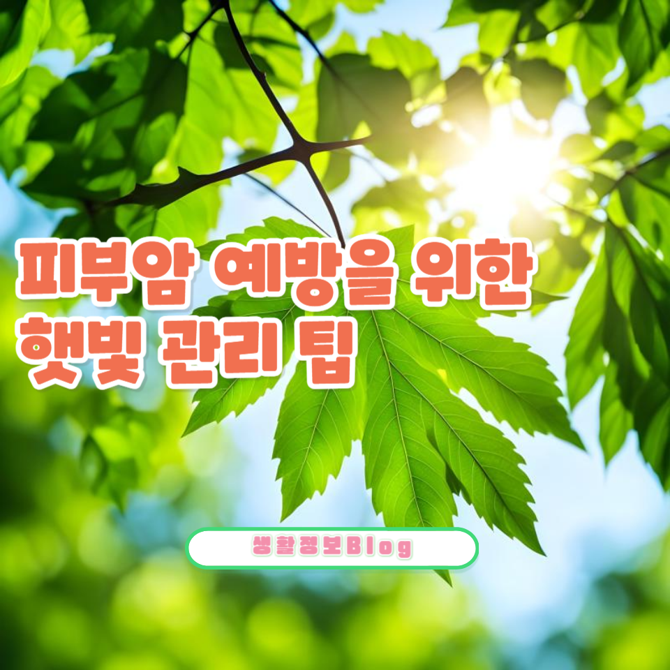 햇빛의 장단점과 건강한 노출 방법