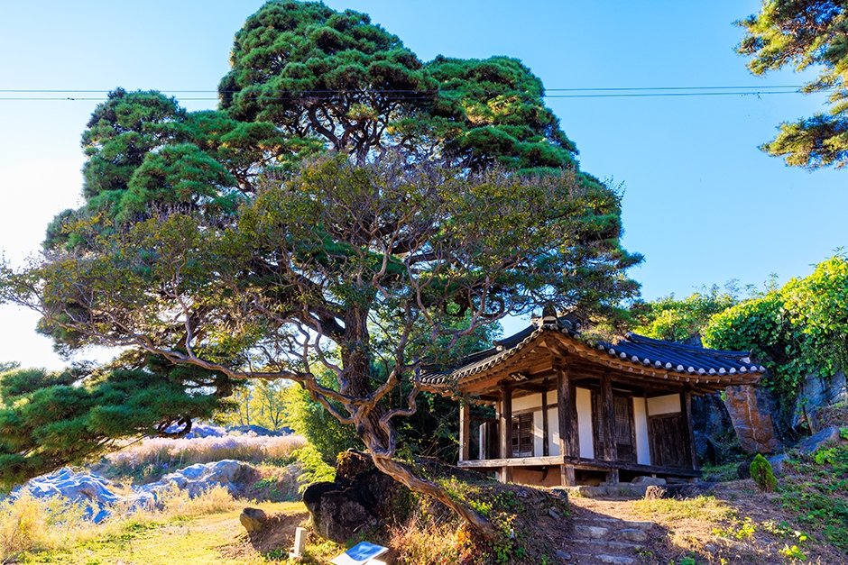 문경 가볼만한곳 베스트10