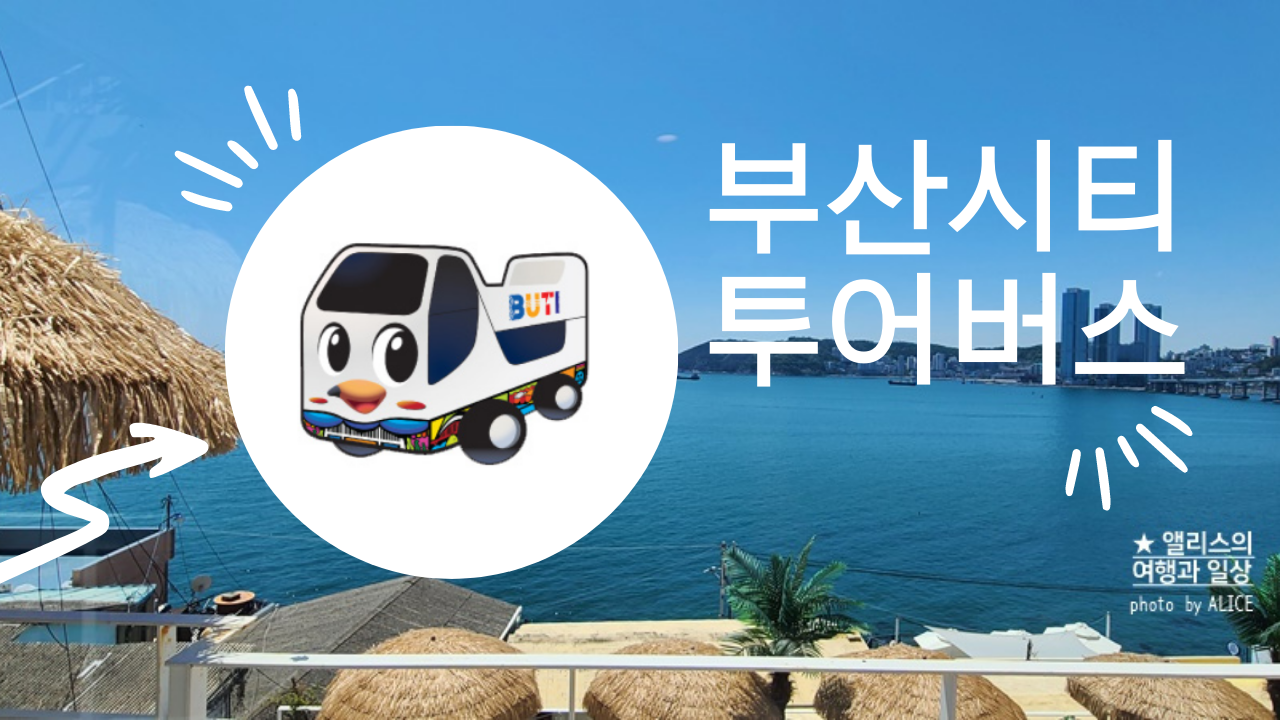 부산시티투어버스 모든 것: 요금, 할인, 코스, 시간표, 출발장소, 추천장소
