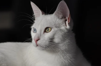 숙박 세일 페스타 완벽 정리 13