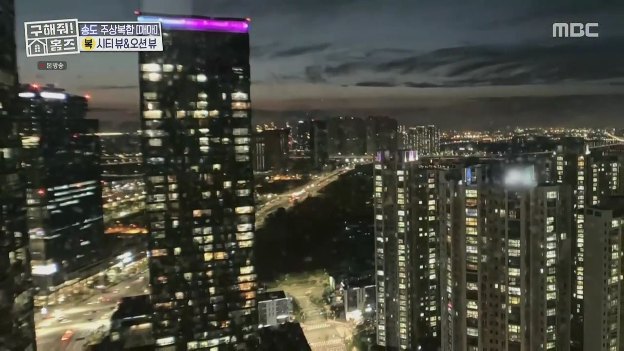 구해줘홈즈 양세형 다이나믹 듀오 최자 개코 송도국제도시 제 1공구 다이나믹 뷰오 매물 가격 및 구조 인테리어 리모델링 최종선택 소개 다시보기