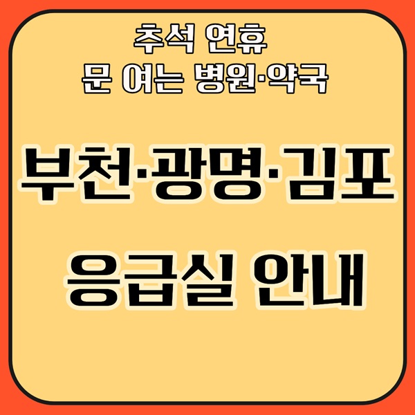 부천·광명·김포 응급실 안내｜추석 연휴 문 여는 병원·약국