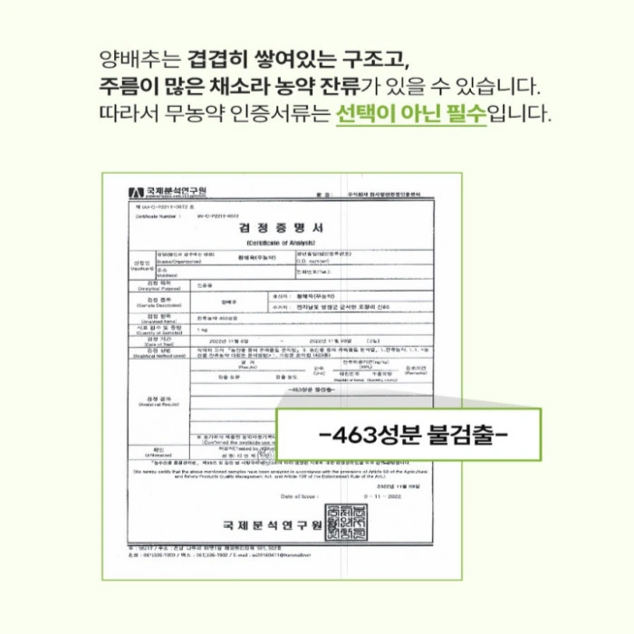 아르채움 양베진 내돈내산 후기 부작용 효능 복용법 가격