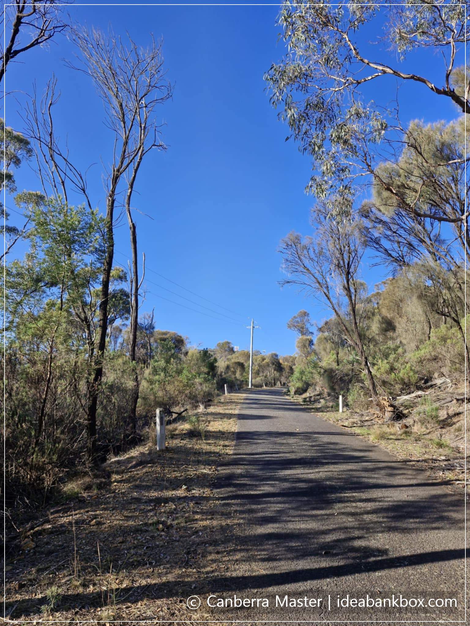 아스팔트 도로(자전거 타고 오시는 분은 이길로 다님)
