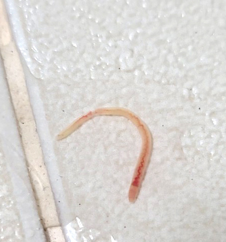 인천수돗물