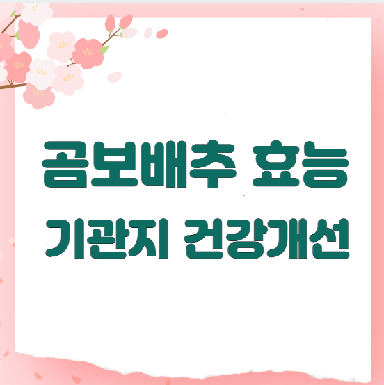 곰보배추 효능 기관지 건강개선