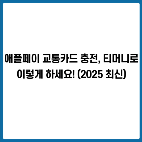 애플페이 교통카드 충전, 티머니로 이렇게 하세요! (2025 최신)